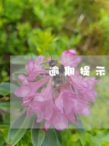 逾期提示付款有几天 逾期提示付款有几天