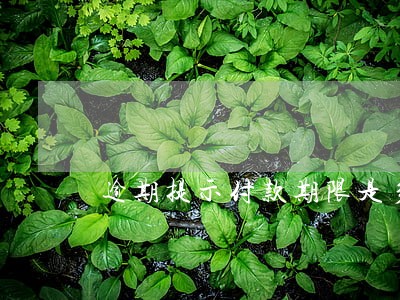 逾期提示付款期限是多少天 逾期提示付款期限是多少天