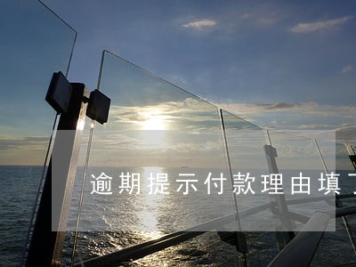 逾期提示付款理由填了过不了 逾期提示付款理由填了过不了