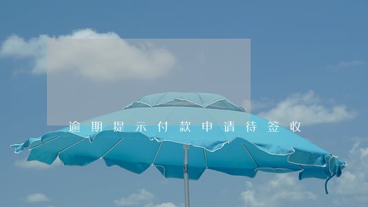 逾期提示付款申请待签收 逾期提示付款申请待签收