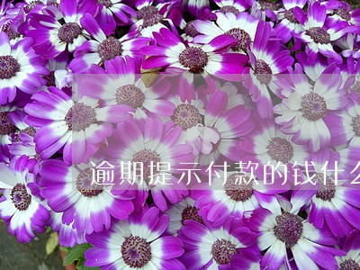 逾期提示付款的钱什么时候到账 逾期提示付款的钱什么时候到账