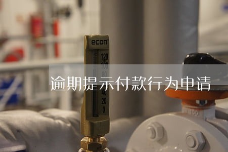 逾期提示付款行为申请 逾期提示付款行为申请