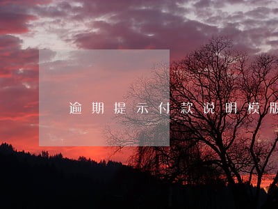 逾期提示付款说明模版 逾期提示付款说明模版