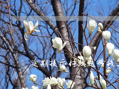 逾期提示付款选择线上还是线下 逾期提示付款选择线上还是线下