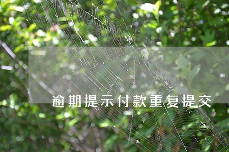 逾期提示付款重复提交