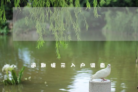 逾期提示入户调查 逾期提示入户调查