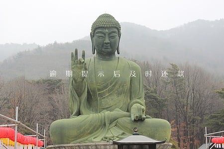 逾期提示后及时还款