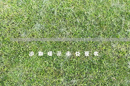 逾期提示承兑丧失 逾期提示承兑丧失