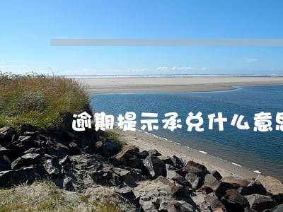 逾期提示承兑什么意思