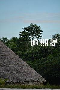 逾期提示承兑名词解释 逾期提示承兑名词解释