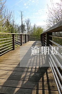 逾期提示承兑已拒付 逾期提示承兑已拒付