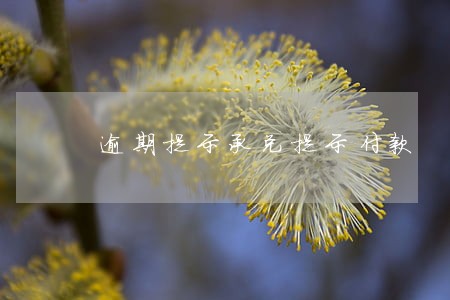 逾期提示承兑提示付款