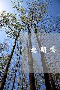 逾期提货会有什么后果 逾期提货会有什么后果