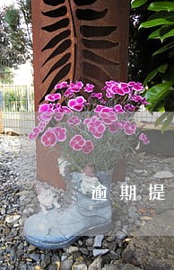 逾期提货的违约免责协议 逾期提货的违约免责协议