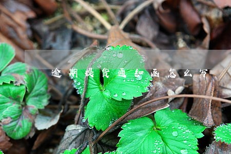 逾期提货通知函怎么写 逾期提货通知函怎么写