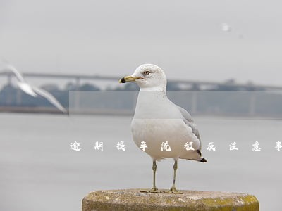 逾期提车流程及注意事项 逾期提车流程及注意事项