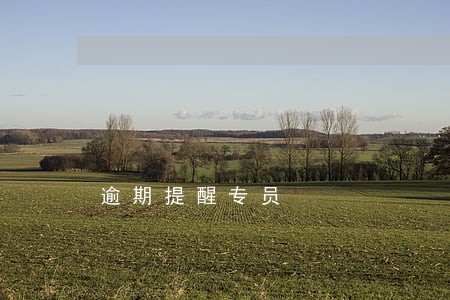 逾期提醒专员 逾期提醒专员