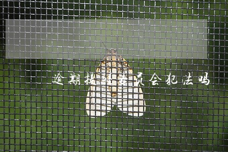 逾期提醒专员会犯法吗 逾期提醒专员会犯法吗