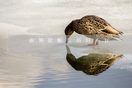 逾期提醒专员好不好 逾期提醒专员好不好