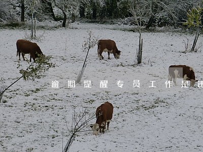 逾期提醒专员工作是违法的吗 逾期提醒专员工作是违法的吗