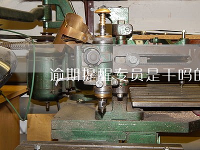 逾期提醒专员是干吗的