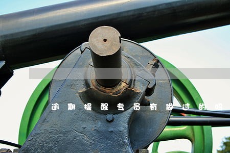 逾期提醒专员有做过的吗 逾期提醒专员有做过的吗