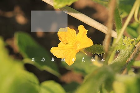 逾期提醒专员话术 逾期提醒专员话术