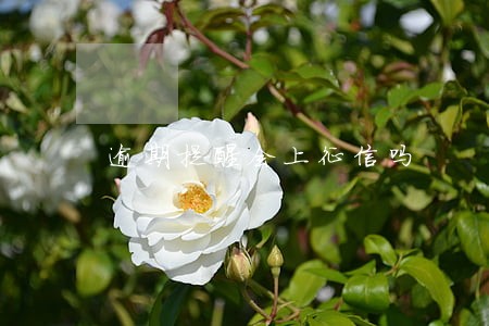逾期提醒会上征信吗 逾期提醒会上征信吗