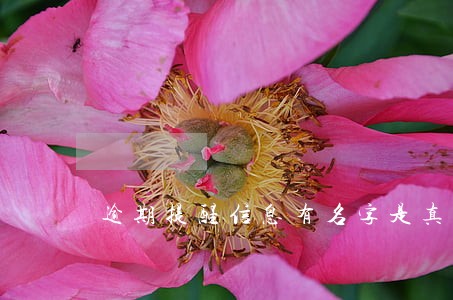 逾期提醒信息有名字是真的吗 逾期提醒信息有名字是真的吗