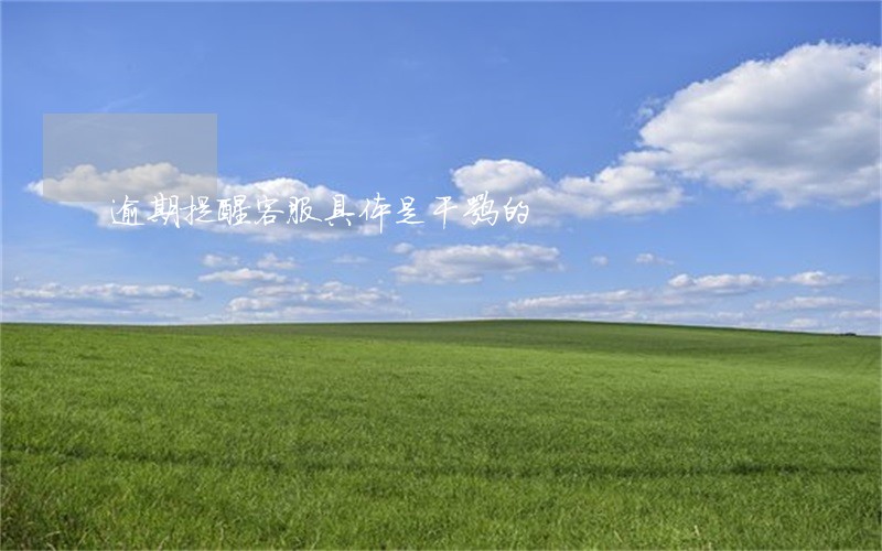 逾期提醒客服具体是干嘛的 逾期提醒客服具体是干嘛的