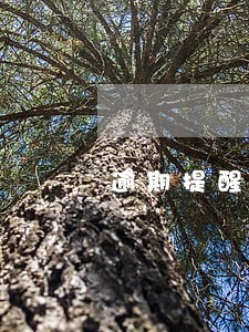 逾期提醒客服合法么 逾期提醒客服合法么