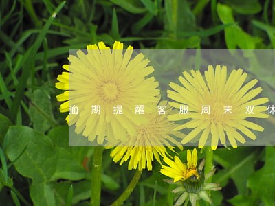 逾期提醒客服周末双休 逾期提醒客服周末双休