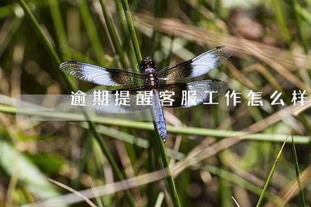 逾期提醒客服工作怎么样 逾期提醒客服工作怎么样