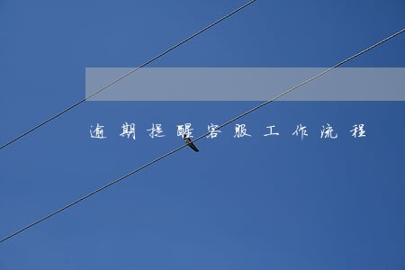 逾期提醒客服工作流程 逾期提醒客服工作流程