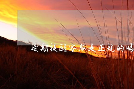 逾期提醒客服是正规的吗 逾期提醒客服是正规的吗