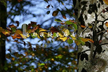 逾期提醒客服违法么 逾期提醒客服违法么
