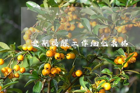 逾期提醒工作细化表格 逾期提醒工作细化表格