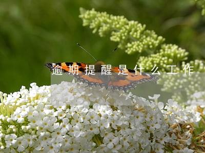 逾期提醒是什么工作 逾期提醒是什么工作