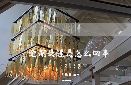 逾期提醒是怎么回事 逾期提醒是怎么回事