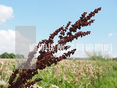 逾期提醒是算逾期吗 逾期提醒是算逾期吗