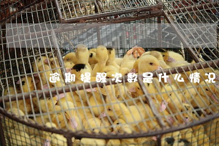 逾期提醒次数是什么情况 逾期提醒次数是什么情况