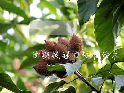 逾期提醒的标准话术 逾期提醒的标准话术