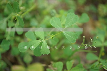 逾期提醒短信突然停了 逾期提醒短信突然停了