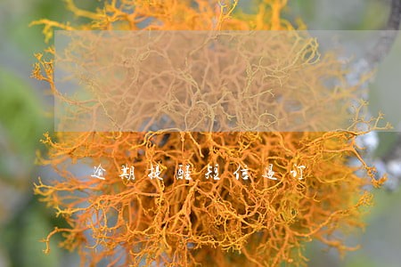 逾期提醒短信退订 逾期提醒短信退订