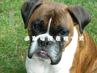 逾期提醒表格公式 逾期提醒表格公式