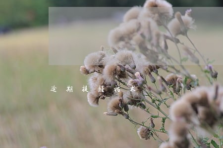 逾期提醒话术 逾期提醒话术