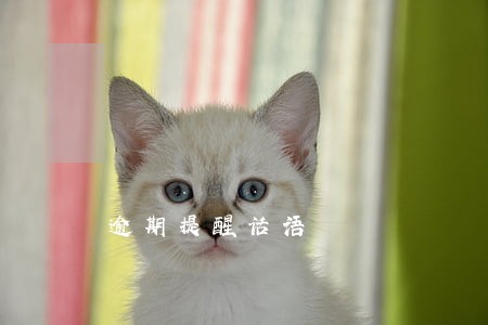 逾期提醒话语