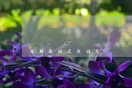 逾期提醒还款信息 逾期提醒还款信息