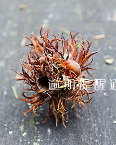 逾期提醒通知书 逾期提醒通知书
