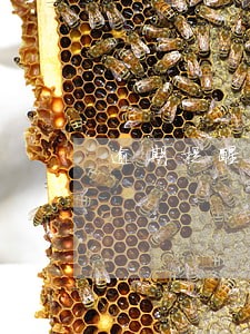 逾期提醒通知书的处理